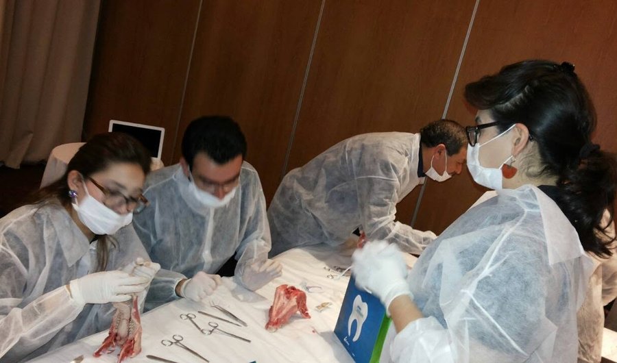 Round table and workshop: labial frenectomy in children