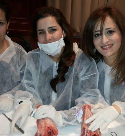 Round table and workshop: labial frenectomy in children