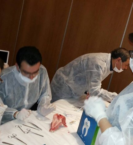 Round table and workshop: labial frenectomy in children