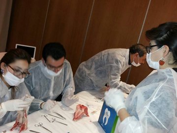 Round table and workshop: labial frenectomy in children