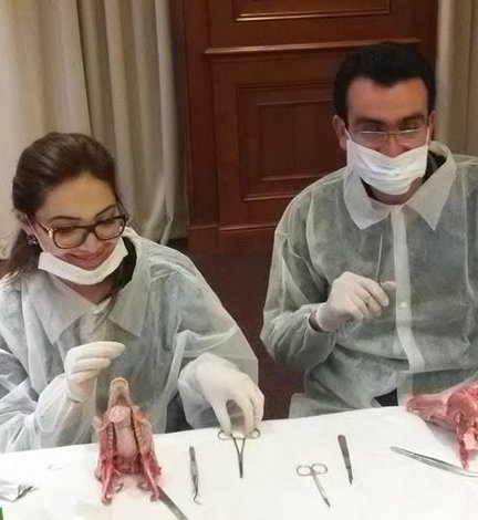 Round table and workshop: labial frenectomy in children