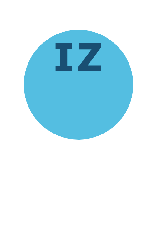 Prof. Ines Zaraa
