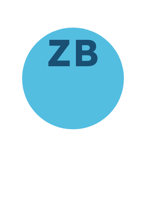 Prof. Zied Baccouche